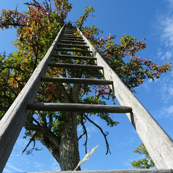 Climbing the Career Ladder